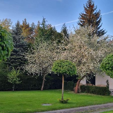 Pod Jablonia Villa Bydgoszcz Luaran gambar