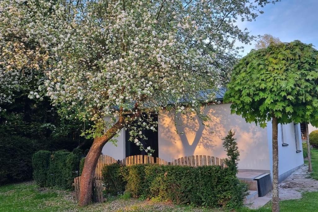 Pod Jablonia Villa Bydgoszcz Luaran gambar