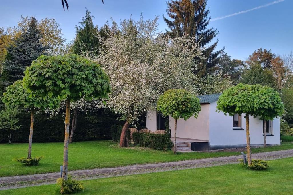 Pod Jablonia Villa Bydgoszcz Luaran gambar
